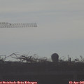 08_40-mast.jpg