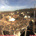 08_40-nest.jpg