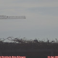 08_45-mast.jpg