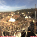 08_45-nest.jpg