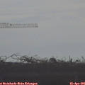 08_50-mast.jpg