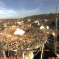 08_50-nest.jpg