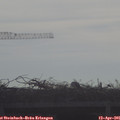 08_55-mast.jpg