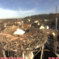 08_55-nest.jpg