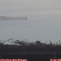 09_00-mast.jpg