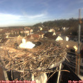 09_00-nest.jpg