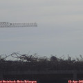 09_05-mast.jpg