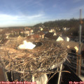 09_05-nest.jpg