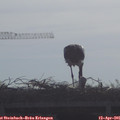 09_10-mast.jpg