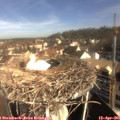 09_10-nest.jpg