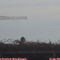 09_15-mast.jpg