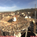 09_15-nest.jpg