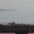 09_20-mast.jpg