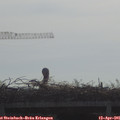 09_25-mast.jpg