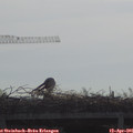 09_30-mast.jpg