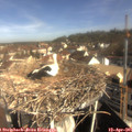 09_30-nest.jpg