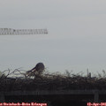 09_35-mast.jpg