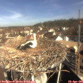 09_40-nest.jpg