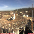 09_45-nest.jpg