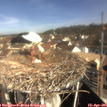 09_55-nest.jpg