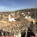 10_05-nest.jpg
