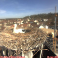 10_10-nest.jpg