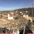 10_30-nest.jpg