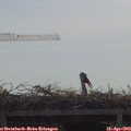 10_35-mast.jpg