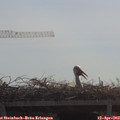 10_40-mast.jpg