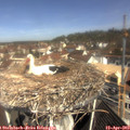 10_40-nest.jpg