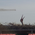 10_45-mast.jpg