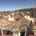 10_55-nest.jpg
