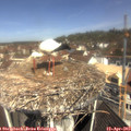 11_00-nest.jpg