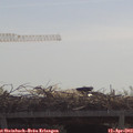 11_05-mast.jpg