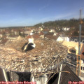 11_15-nest.jpg