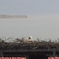 11_30-mast.jpg