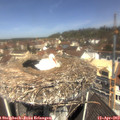 11_30-nest.jpg