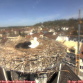 11_35-nest.jpg