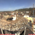 11_40-nest.jpg