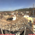 11_45-nest.jpg