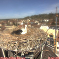 12_00-nest.jpg