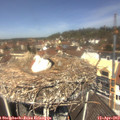 12_10-nest.jpg