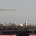 12_15-mast.jpg