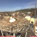 12_15-nest.jpg