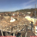 12_35-nest.jpg