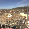 12_40-nest.jpg