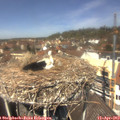 12_45-nest.jpg