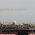 13_05-mast.jpg