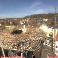 13_05-nest.jpg