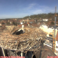 13_15-nest.jpg